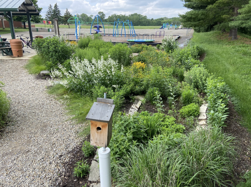 Part of the rain garden near the playground with lots of plants and a bird house